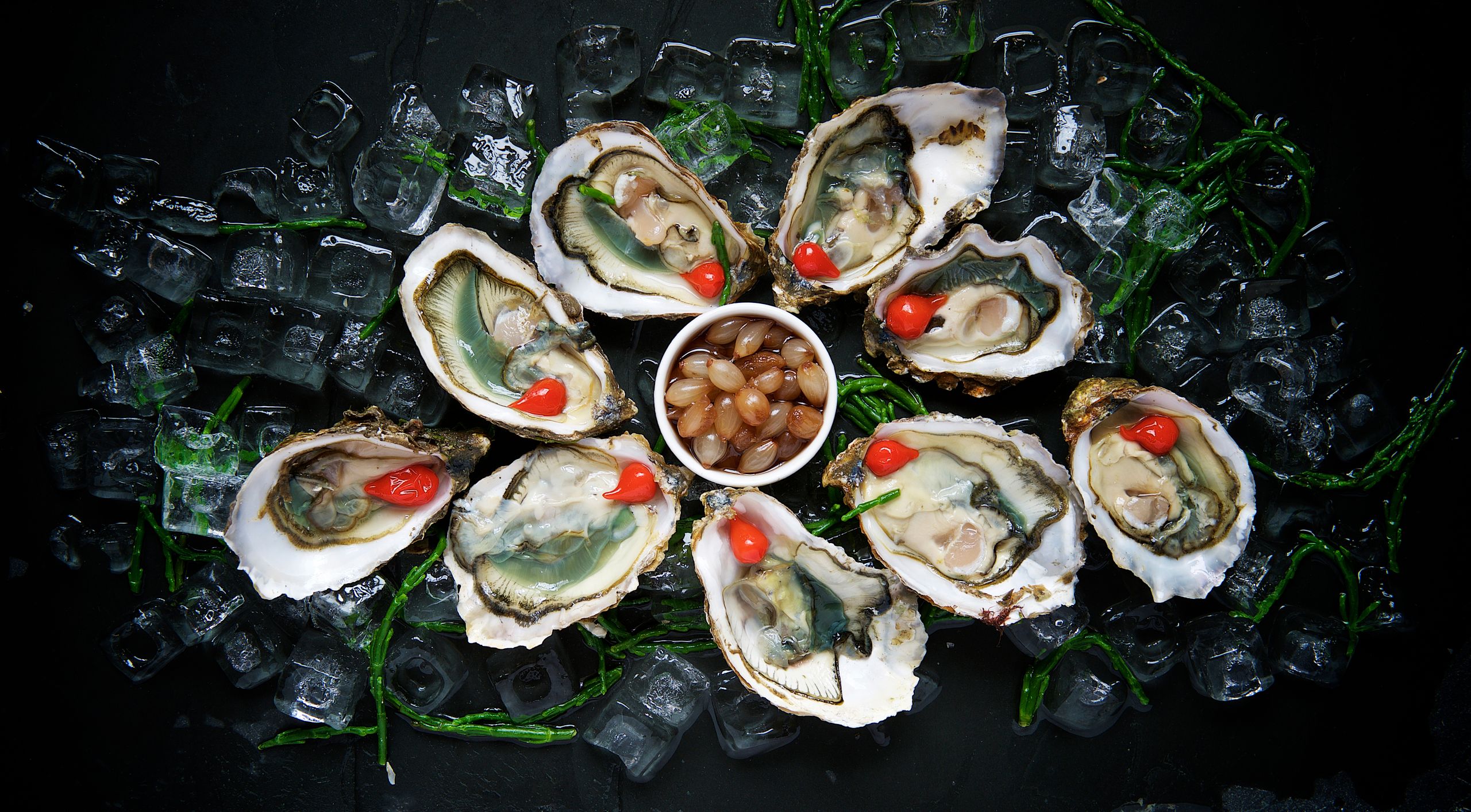 Fresh oysters on ice